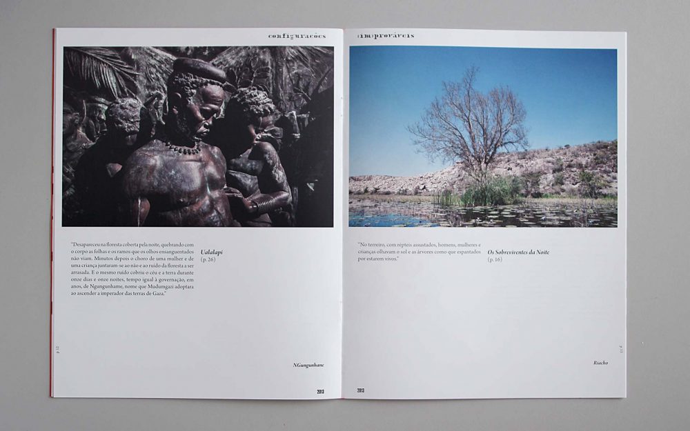 Configurações Improváveis – Visual Identity – 2013