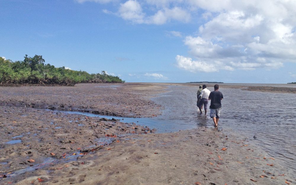 Macoconi – Documentary