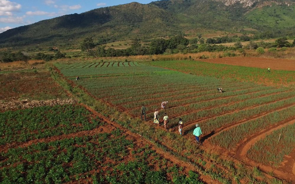 CHIMANIMANI – Integrated Communication – 2017