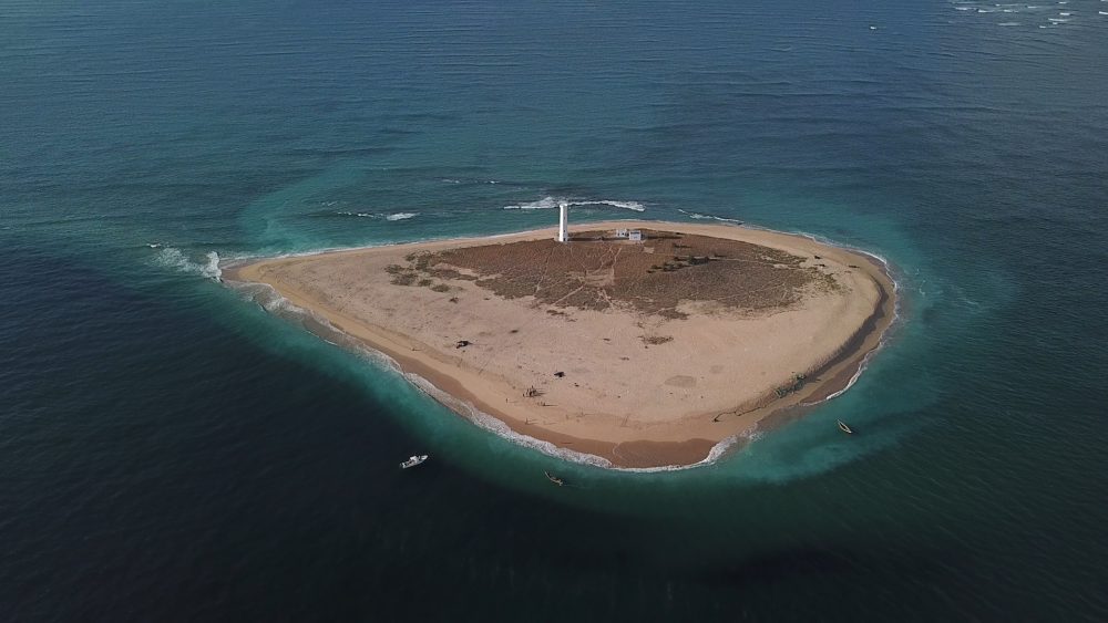 2018_WWF-CARE-P&S_003