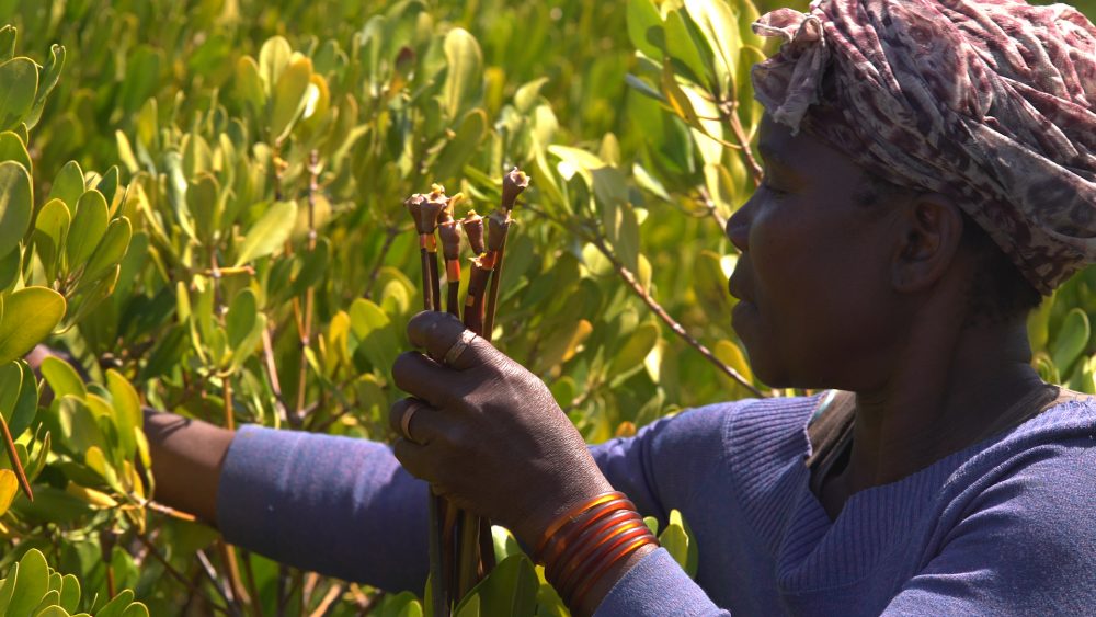 2018_WWF-CARE-P&S_036