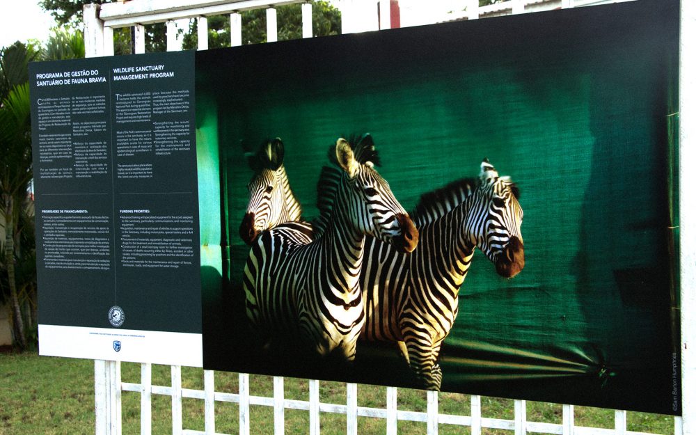 Gala-Gorongosa_IMG_01