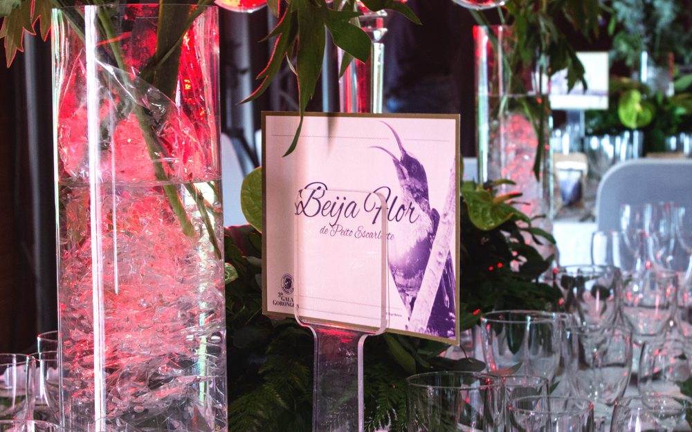 Gala-Gorongosa_IMG_03