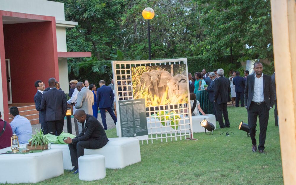 Gala-Gorongosa_IMG_11