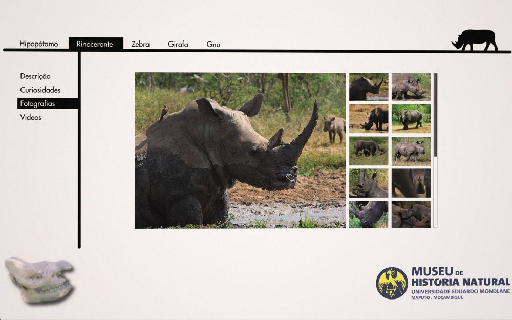 Fauna and Flora of Mozambique Application