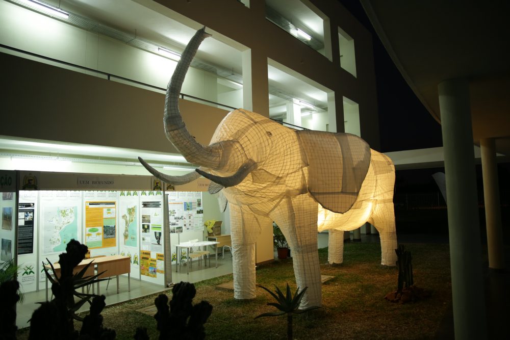 Biofund – Integrated Communication