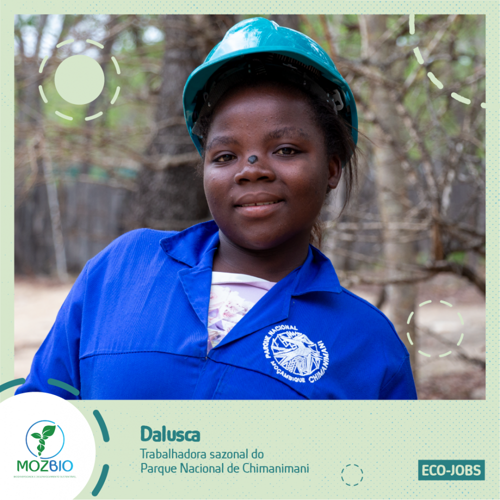 ANM – O Nosso Mato – poster-05