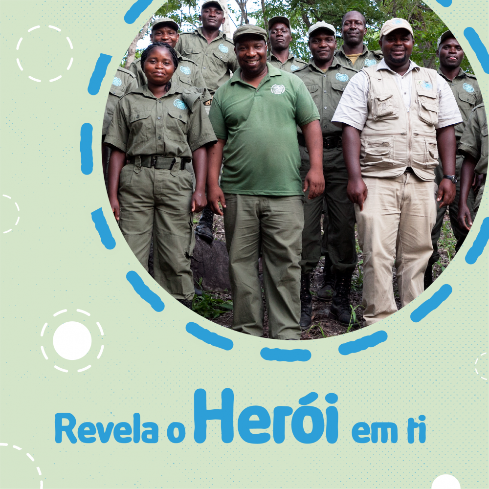 ANM – O Nosso Mato – poster (24 de Janeiro)-08