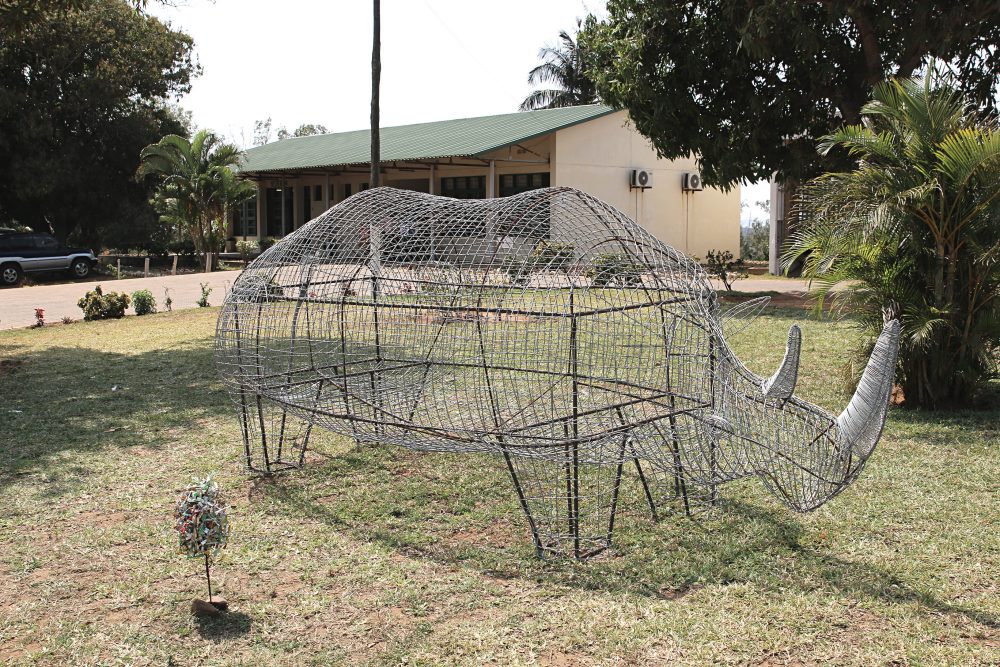 IMG_3720correctedpeq