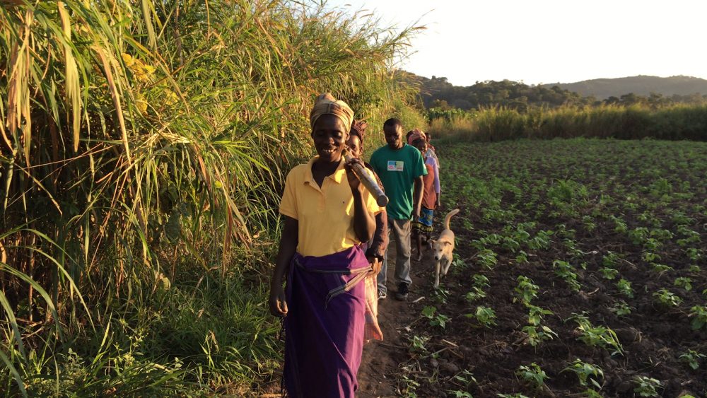 STILLS_CHIMANIMANI_002