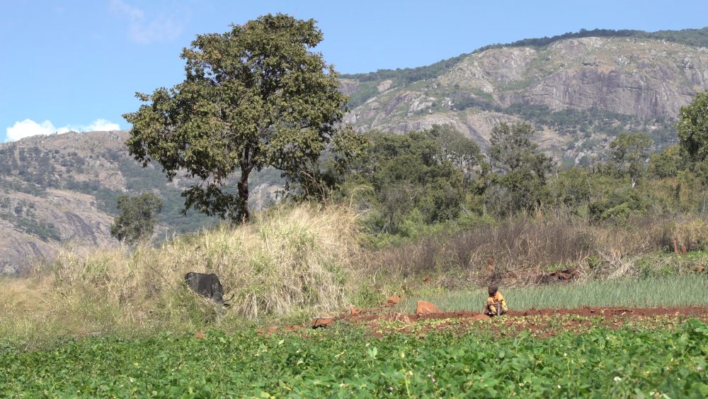 STILLS_CHIMANIMANI_006