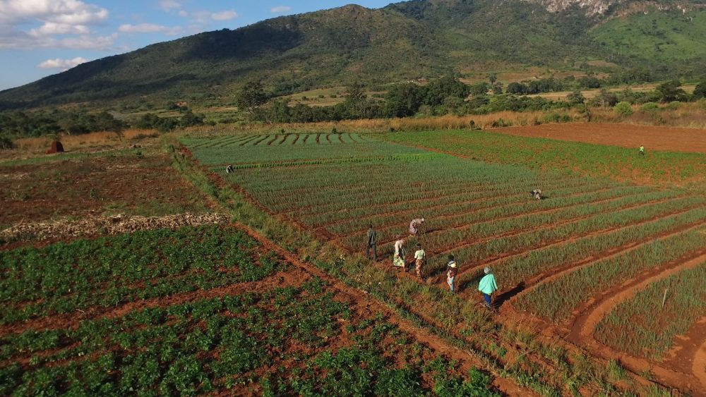 STILLS_CHIMANIMANI_008