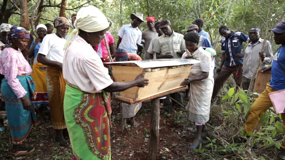 STILLS_CHIMANIMANI_012