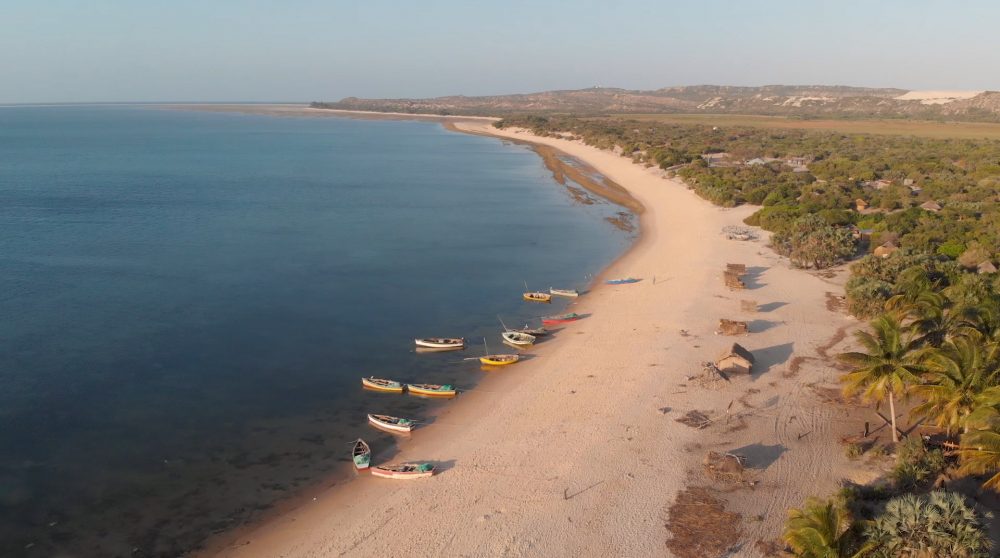 2020_MOZBIO_Bazaruto_ACorDoIndico_FC01_SOM.00_01_25_05.Still006