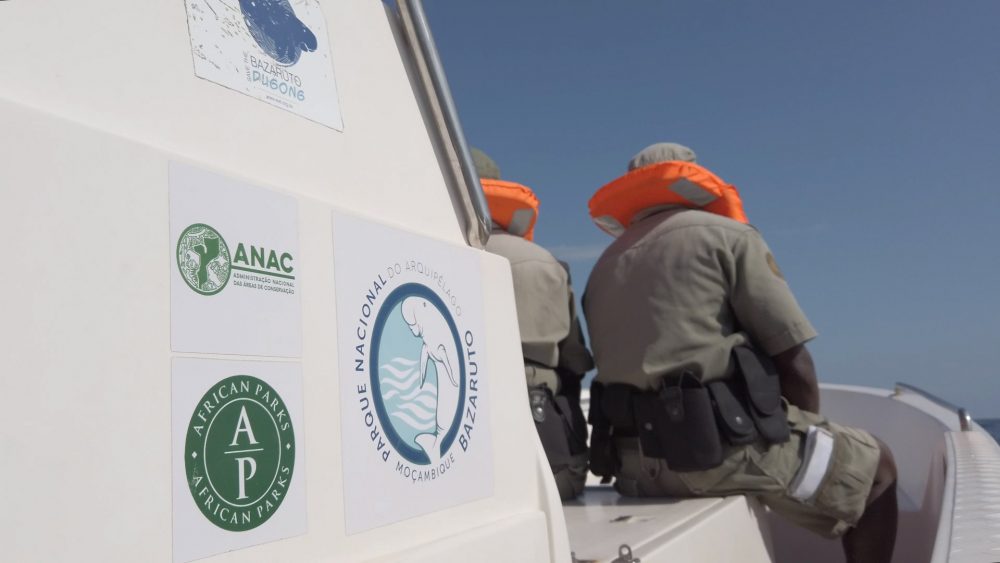 2020_MOZBIO_Bazaruto_ACorDoIndico_FC01_SOM.00_03_24_00.Still011