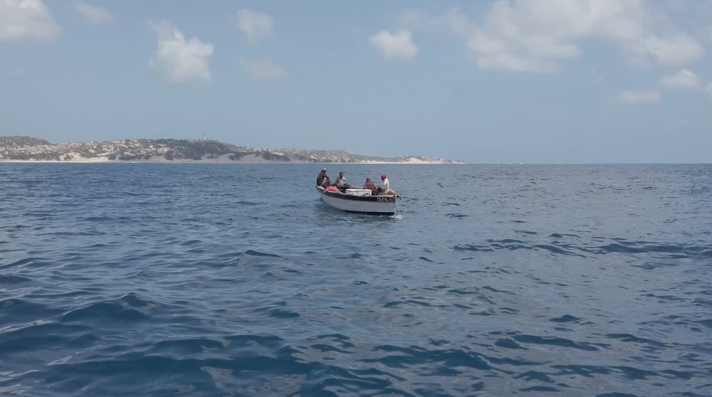 2020_MOZBIO_Bazaruto_ACorDoIndico_FC01_SOM.00_04_34_05.Still016